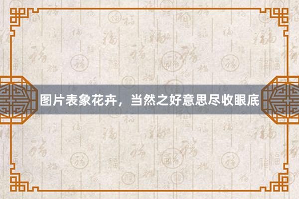 图片表象花卉，当然之好意思尽收眼底