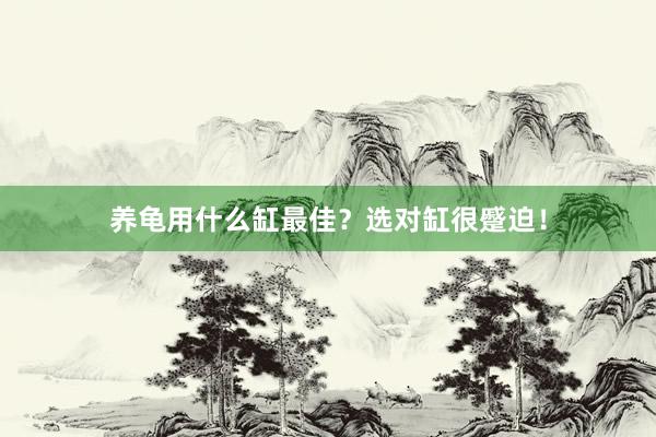 养龟用什么缸最佳？选对缸很蹙迫！